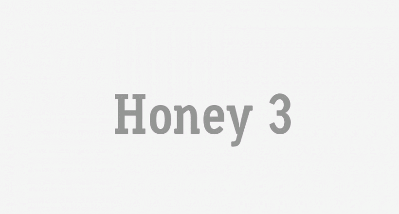 Honey 3